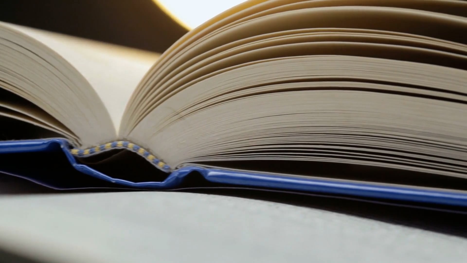 Redacción periodística y contenidos para medios digitales – Clase N° 28